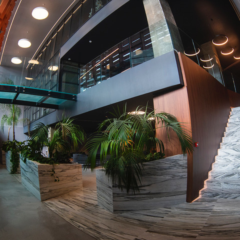 An office atrium with plants and a marble staircase